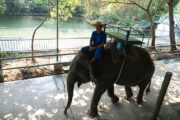 バンコクから一番近い象園！サンプラーン・エレファント・グランド&ズーへのチャータータクシー（4人乗りタクシー1台の往復料金です）のサムネイル画像