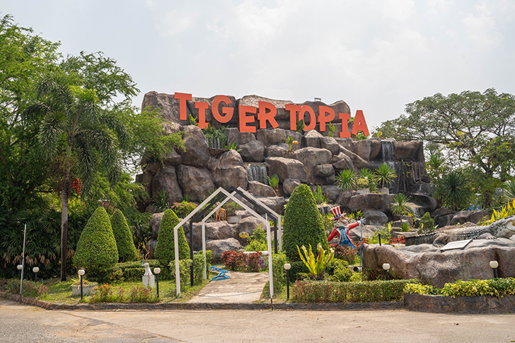 Tiger Topia Zoo