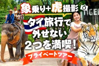 象乗り＋虎撮影｜タイ旅行で外せないアクティビティを満喫！専用者と日本語ガイド付きプライベートツアーのサムネイル画像