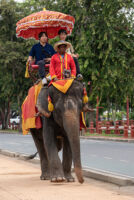 アユタヤ_エレファントキャンプ