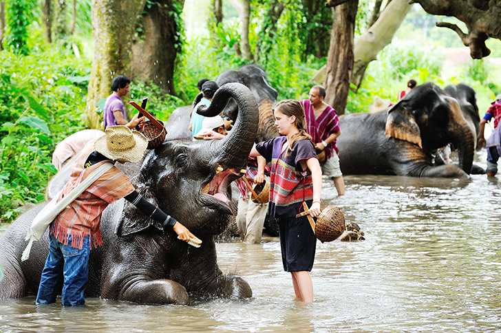 タイ旅行会社_チェンマイ